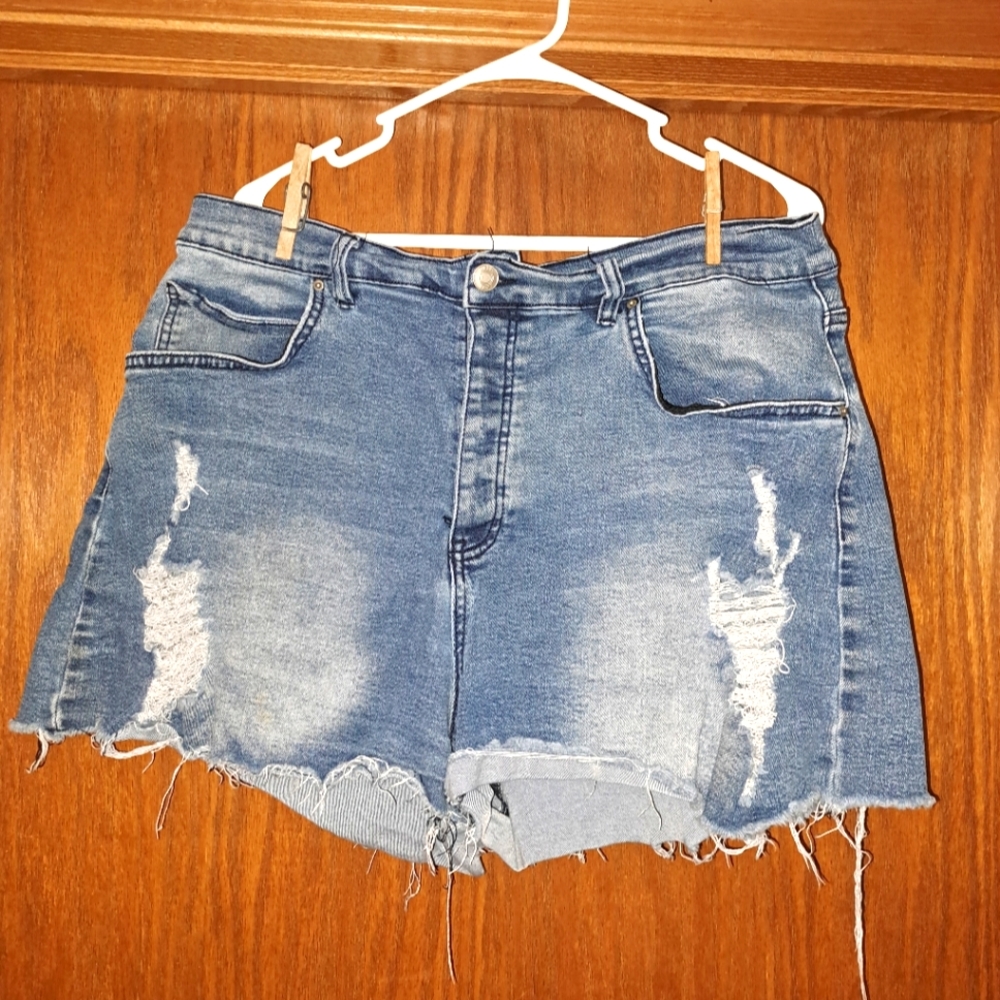 Torrid Shorts
